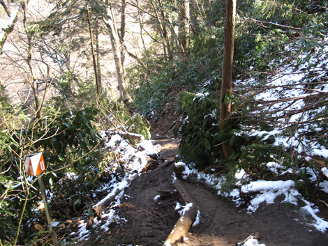 20160226hike (157)